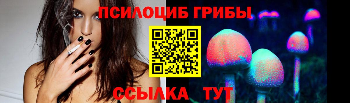 Серов  Галлюциногенные грибы Psilocybine cubensis  купить наркоту  Вход с VPN 